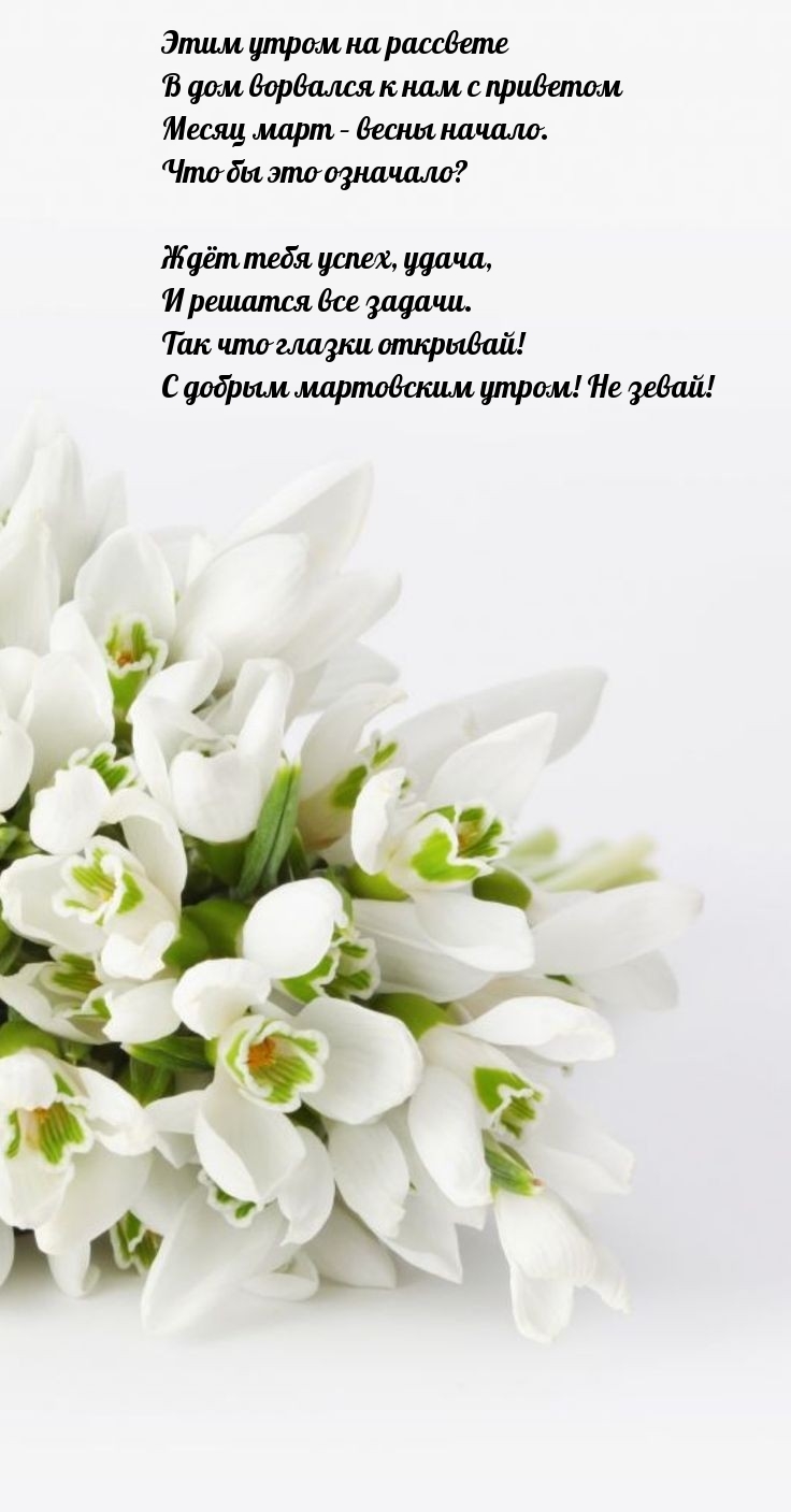 С добрым мартовским утром! Не зевай!