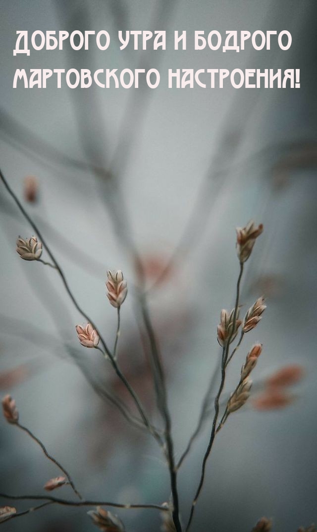 Доброго утра и бодрого мартовского настроения!