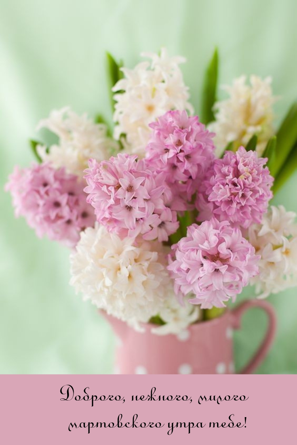 Доброго, нежного, милого мартовского утра тебе! 