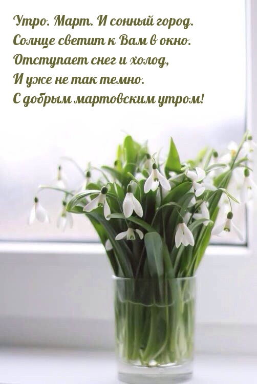 Утро. Март. И сонный город. Солнце светит к Вам в окно.
