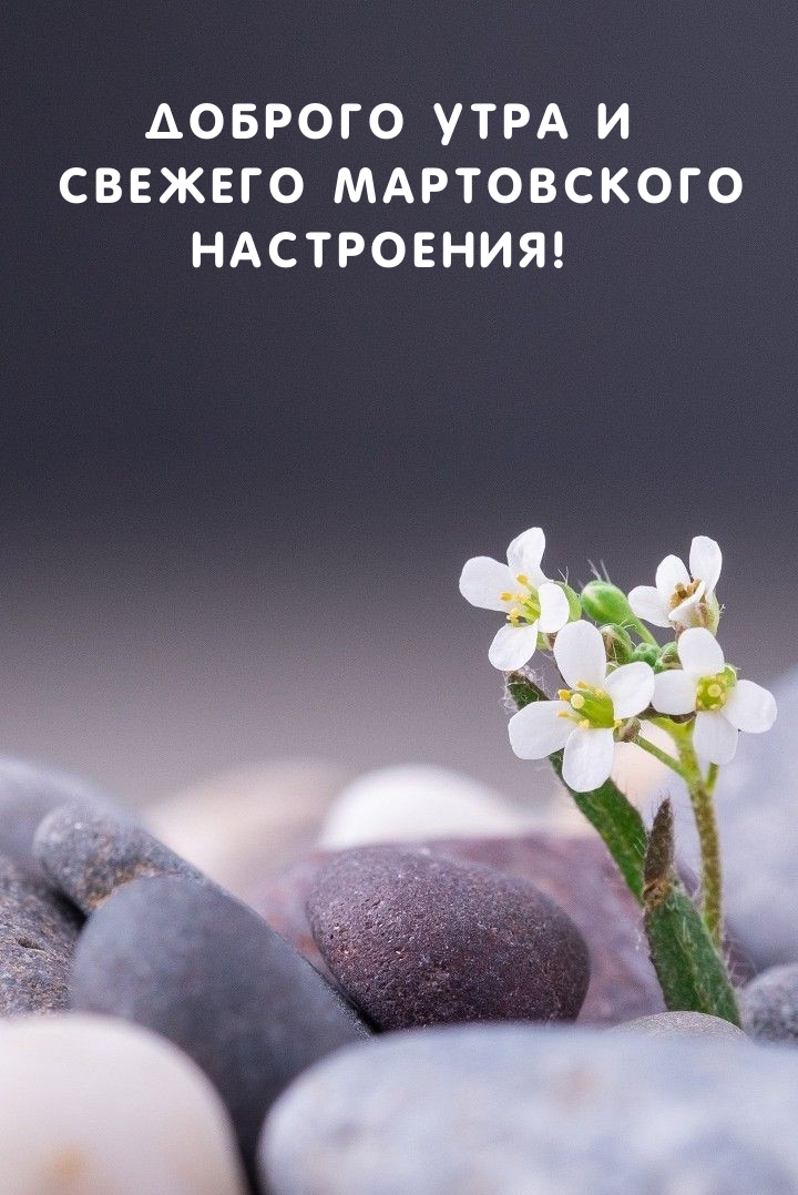Доброго утра и свежего мартовского настроения!