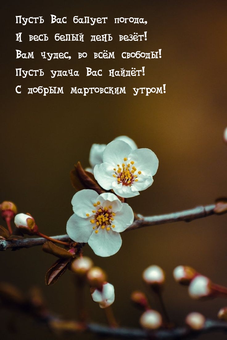 Пусть удача Вас найдёт! С добрым мартовским утром!