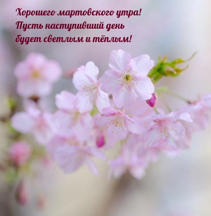 Хорошего мартовского утра! Пусть наступивший день будет светлым  