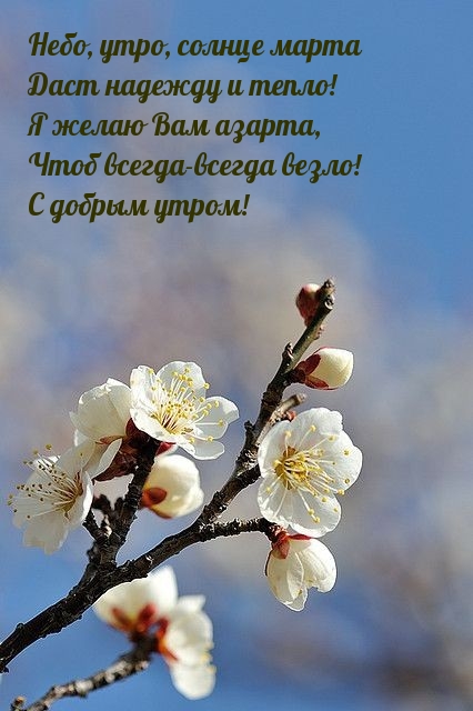 Небо, утро, солнце марта даст надежду и тепло!