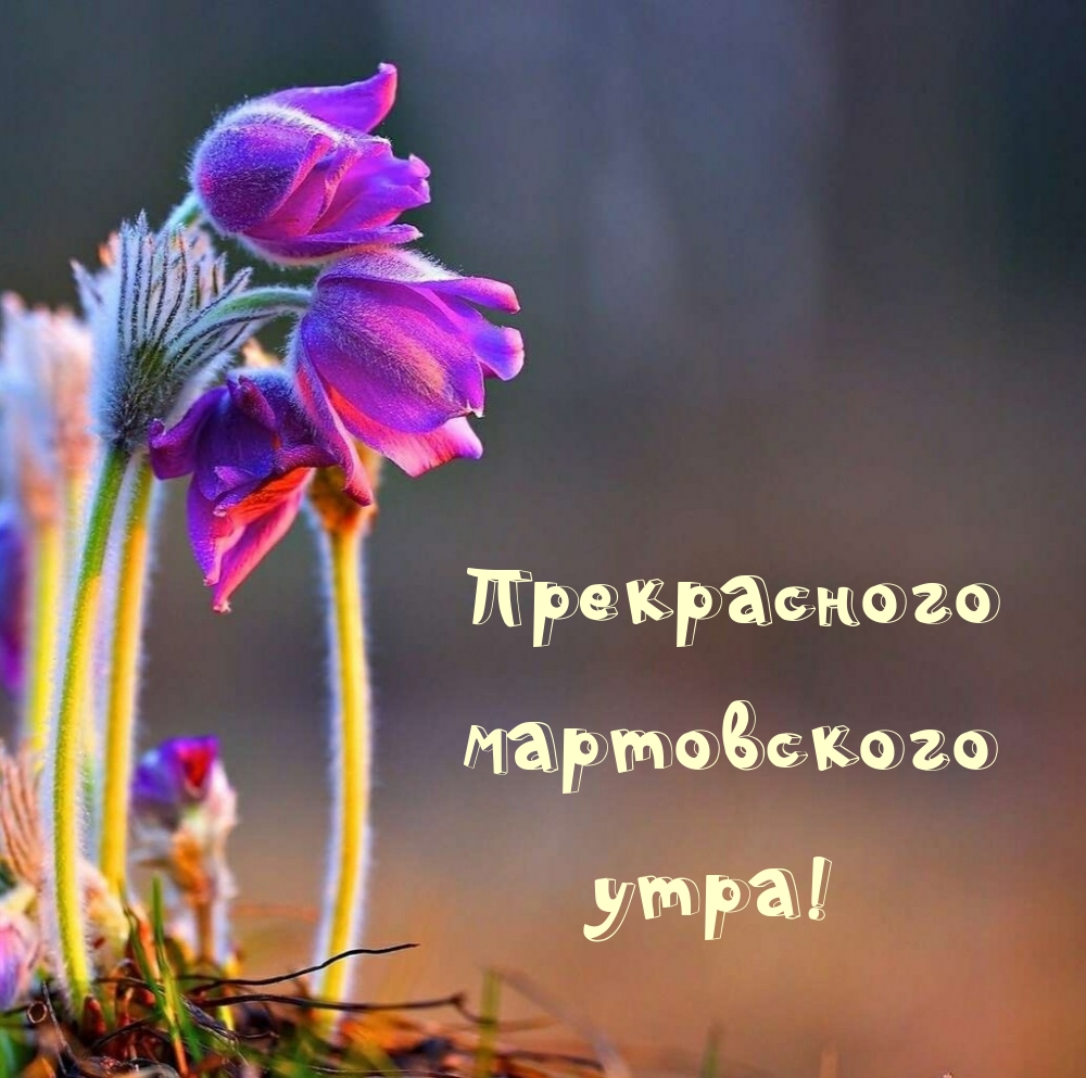 Прекрасного мартовского утра!