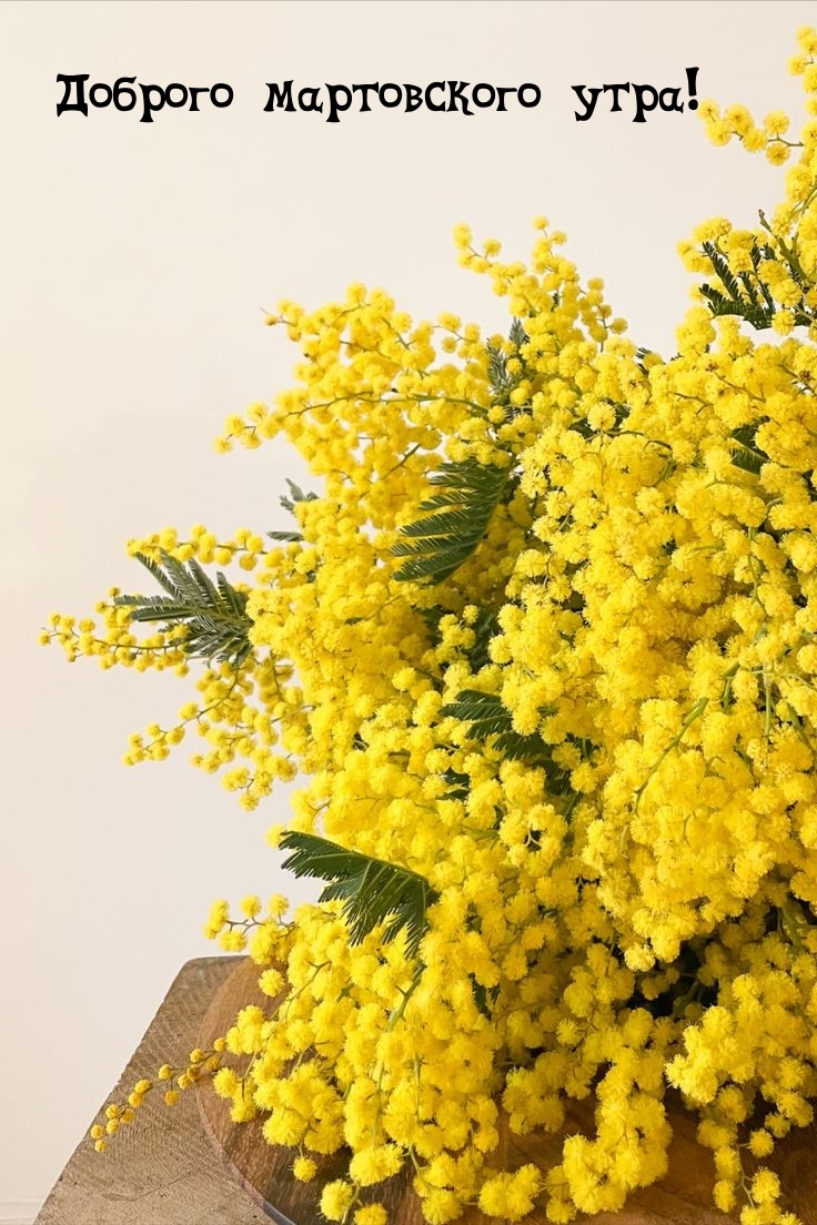 Доброго мартовского утра!