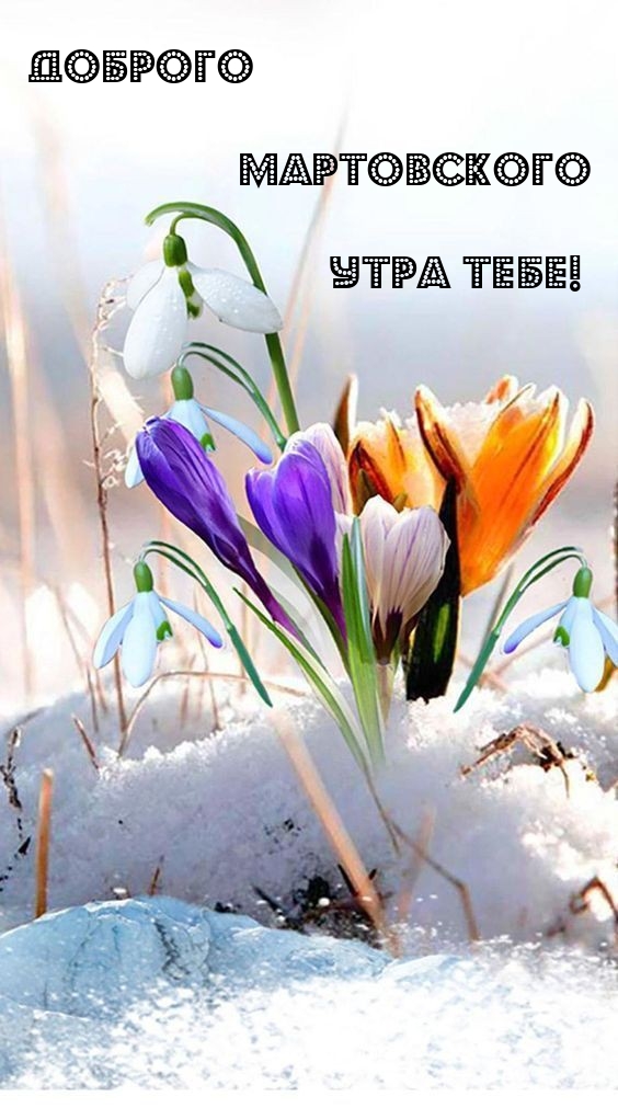 Доброго мартовского утра тебе! 