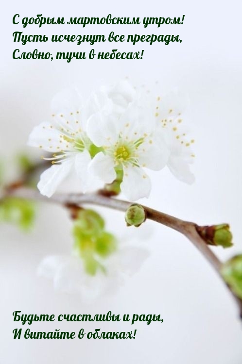 С добрым мартовским утром! Пусть исчезнут все преграды