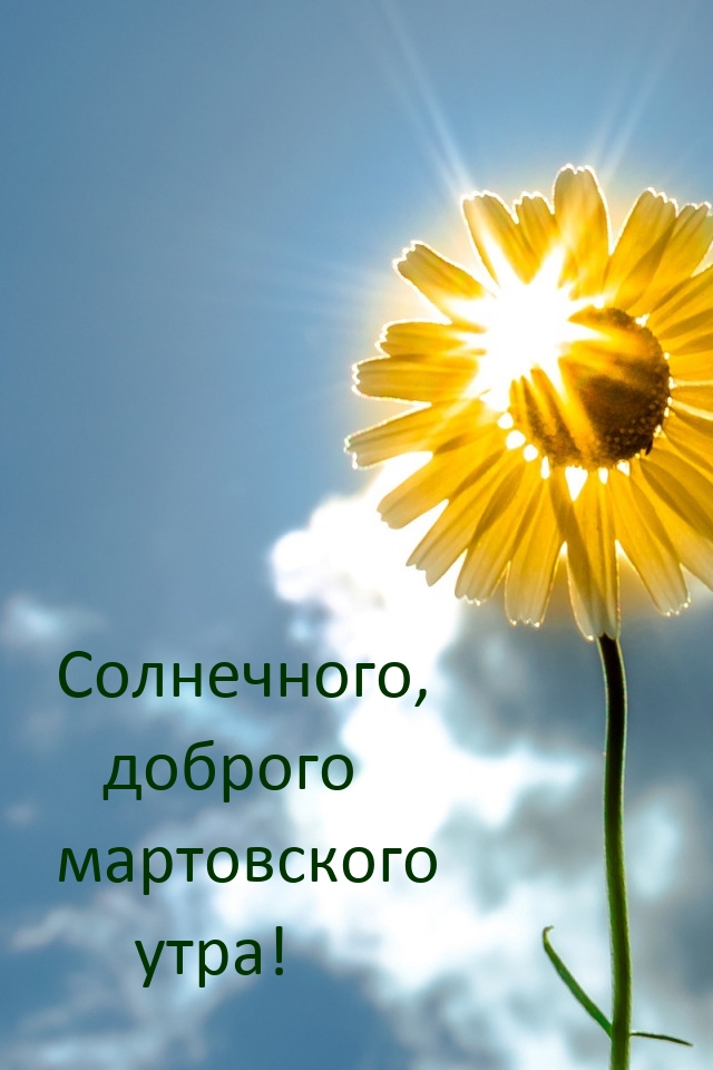 Солнечного, доброго мартовского утра!