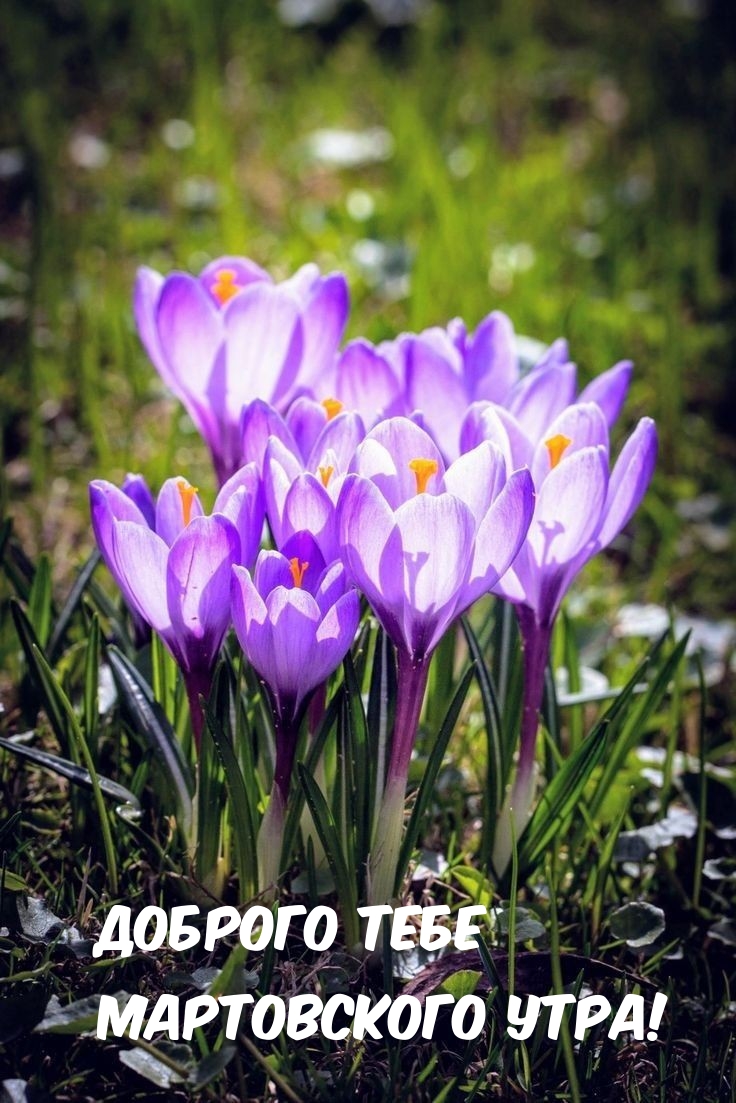 Доброго тебе мартовского утра!