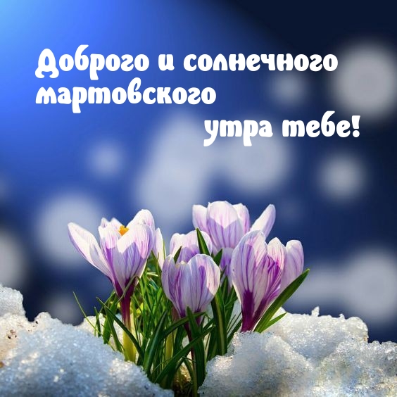 Доброго и солнечного мартовского утра тебе! 