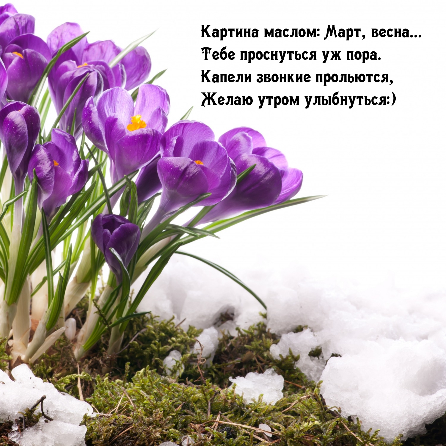 Картина маслом: Март, весна... Тебе проснуться уж пора.