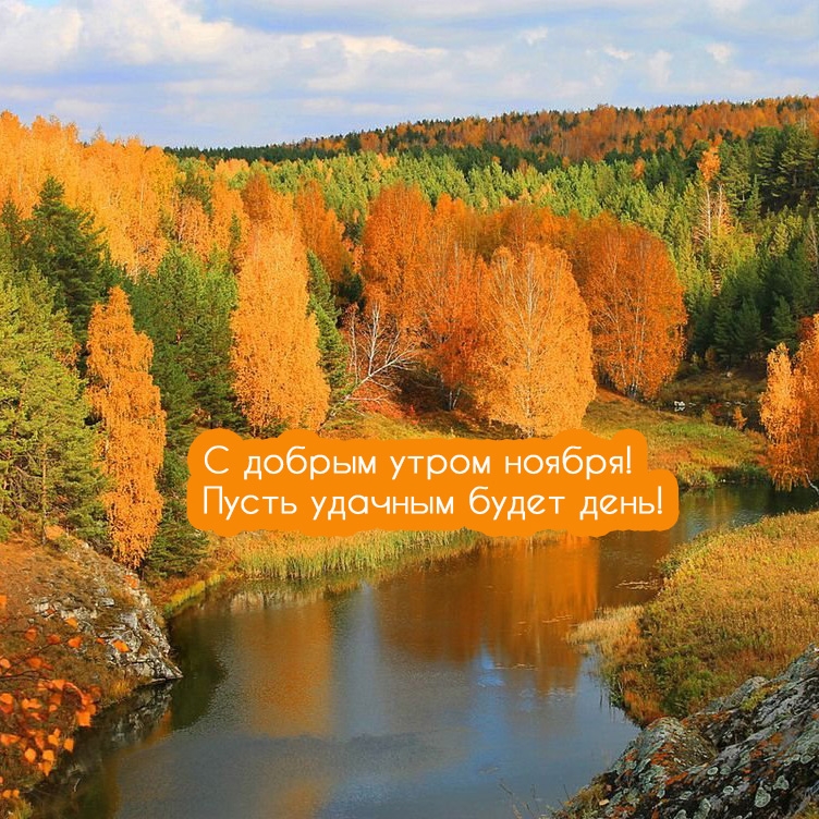 С добрым утром ноября! Пусть удачным будет день!