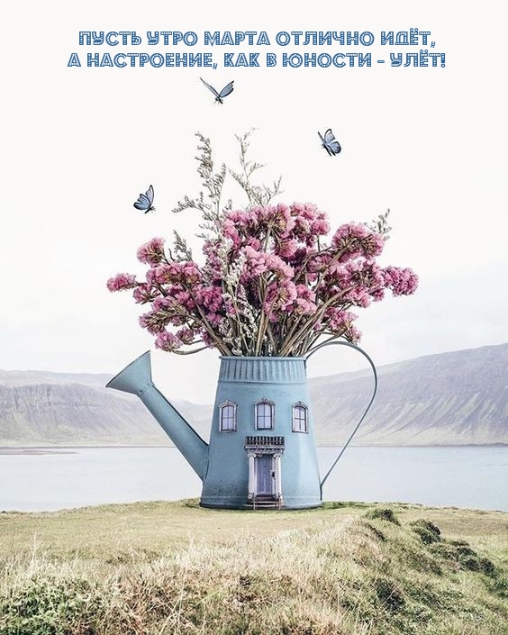 Пусть утро марта отлично идёт, а настроение, как в юности - улёт!