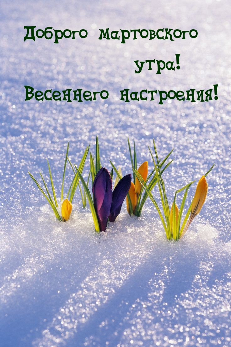 Доброго мартовского утра! Весеннего настроения! 