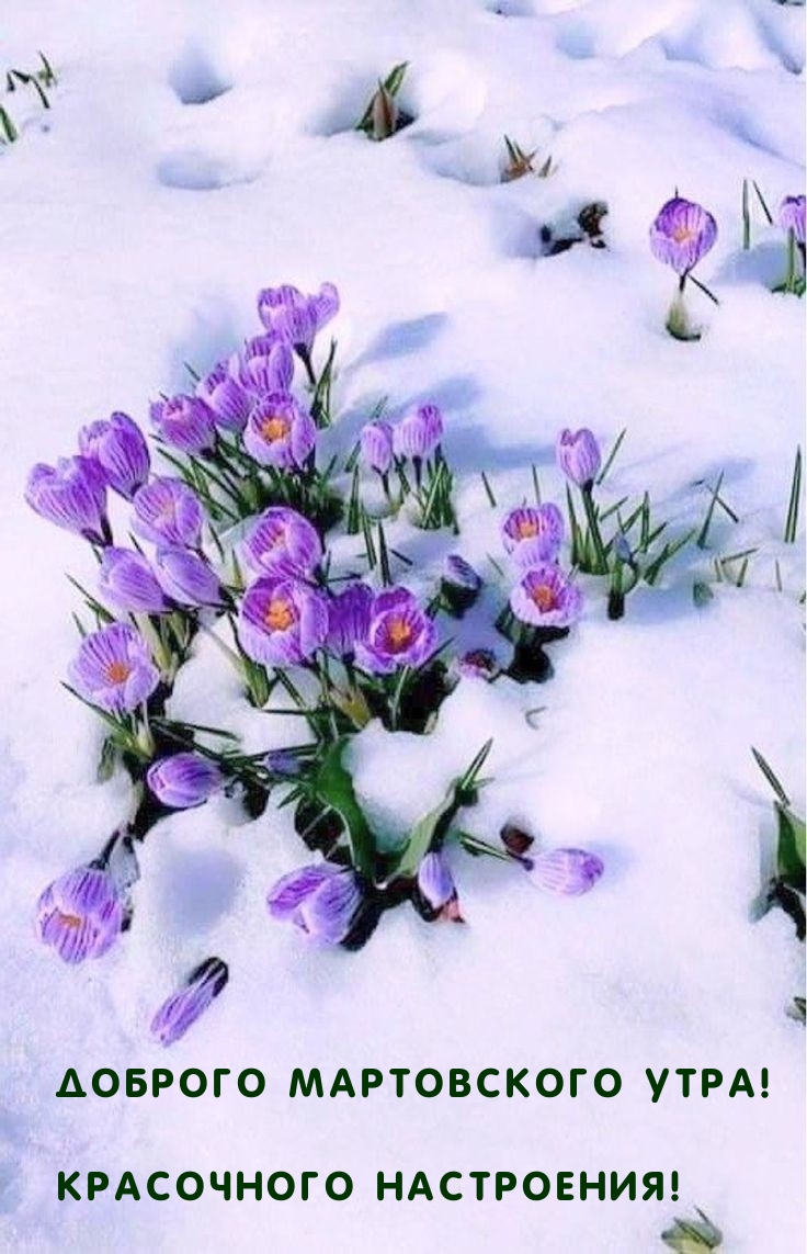 Доброго мартовского утра! Красочного настроения! 