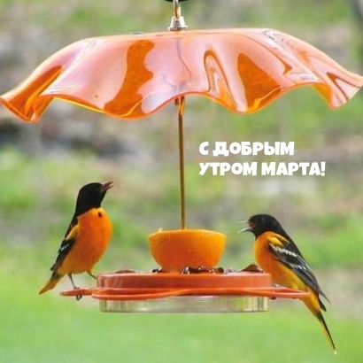 С добрым утром марта!