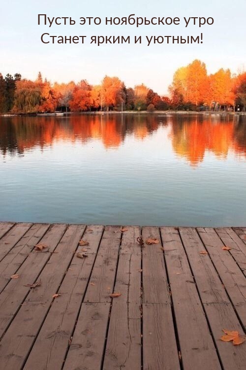 Пусть это ноябрьское утро станет ярким и уютным!