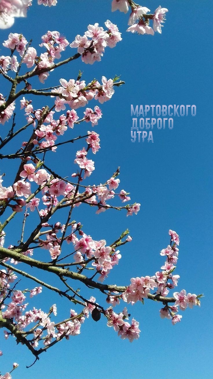 Мартовского Доброго Утра