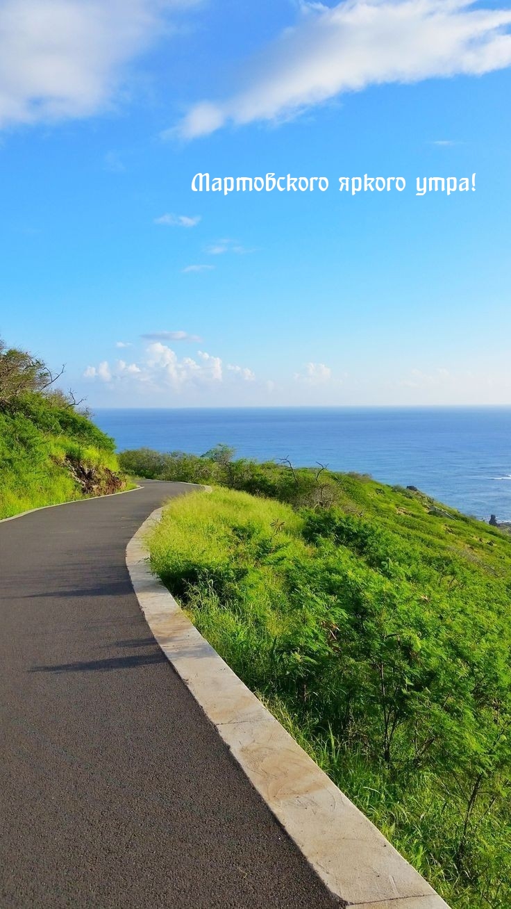 Мартовского яркого утра!