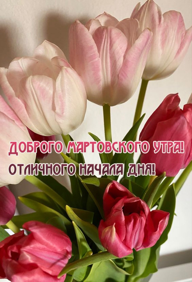 Доброго мартовского утра! Отличного начала дня!