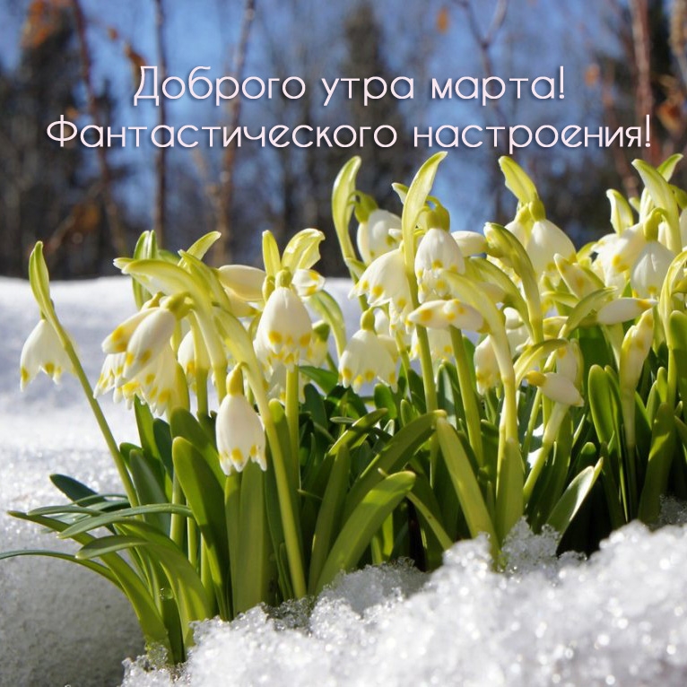 Доброго утра марта!  Фантастического настроения!