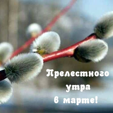 Прелестного утра в марте!