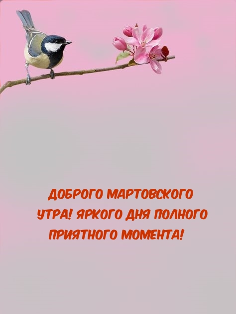 Доброго мартовского  утра! Яркого дня полного приятного момента!