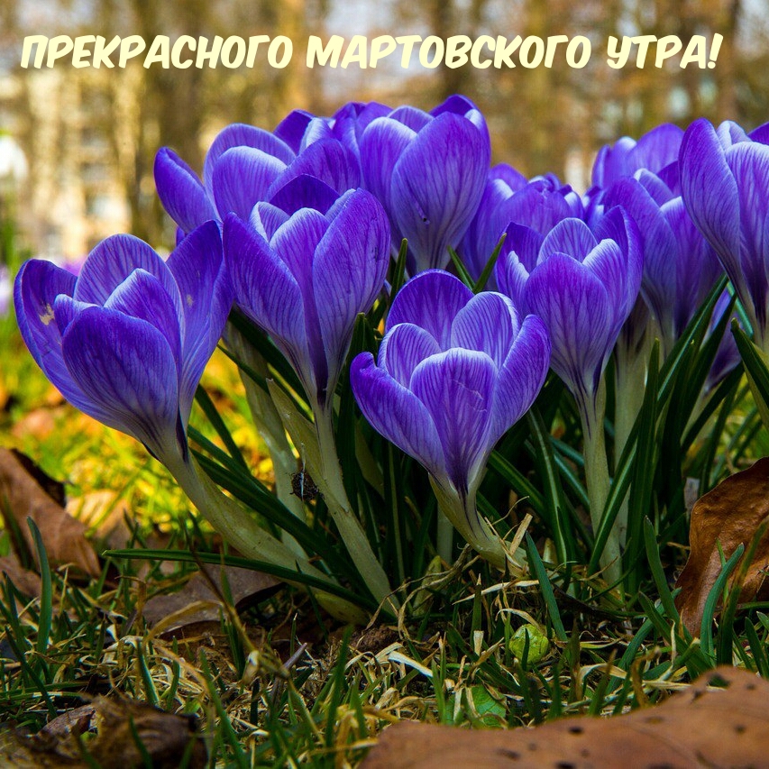 Прекрасного мартовского утра!