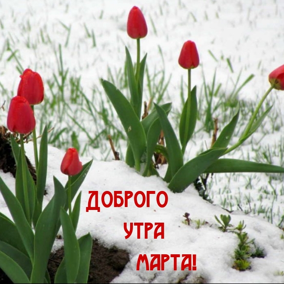 Доброго утра марта!