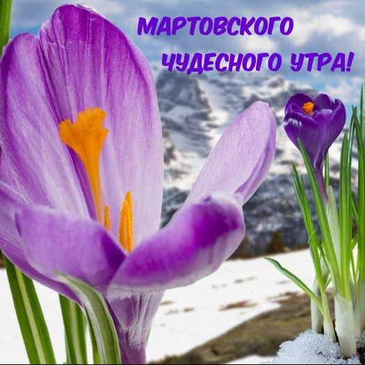 Мартовского чудесного утра!