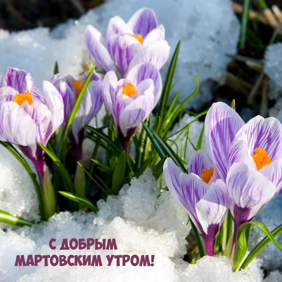 С добрым мартовским утром!