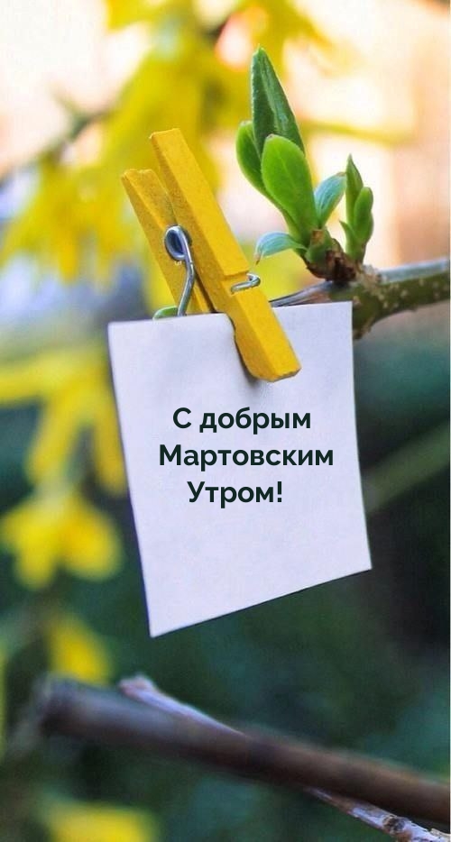 С добрым Мартовским Утром!