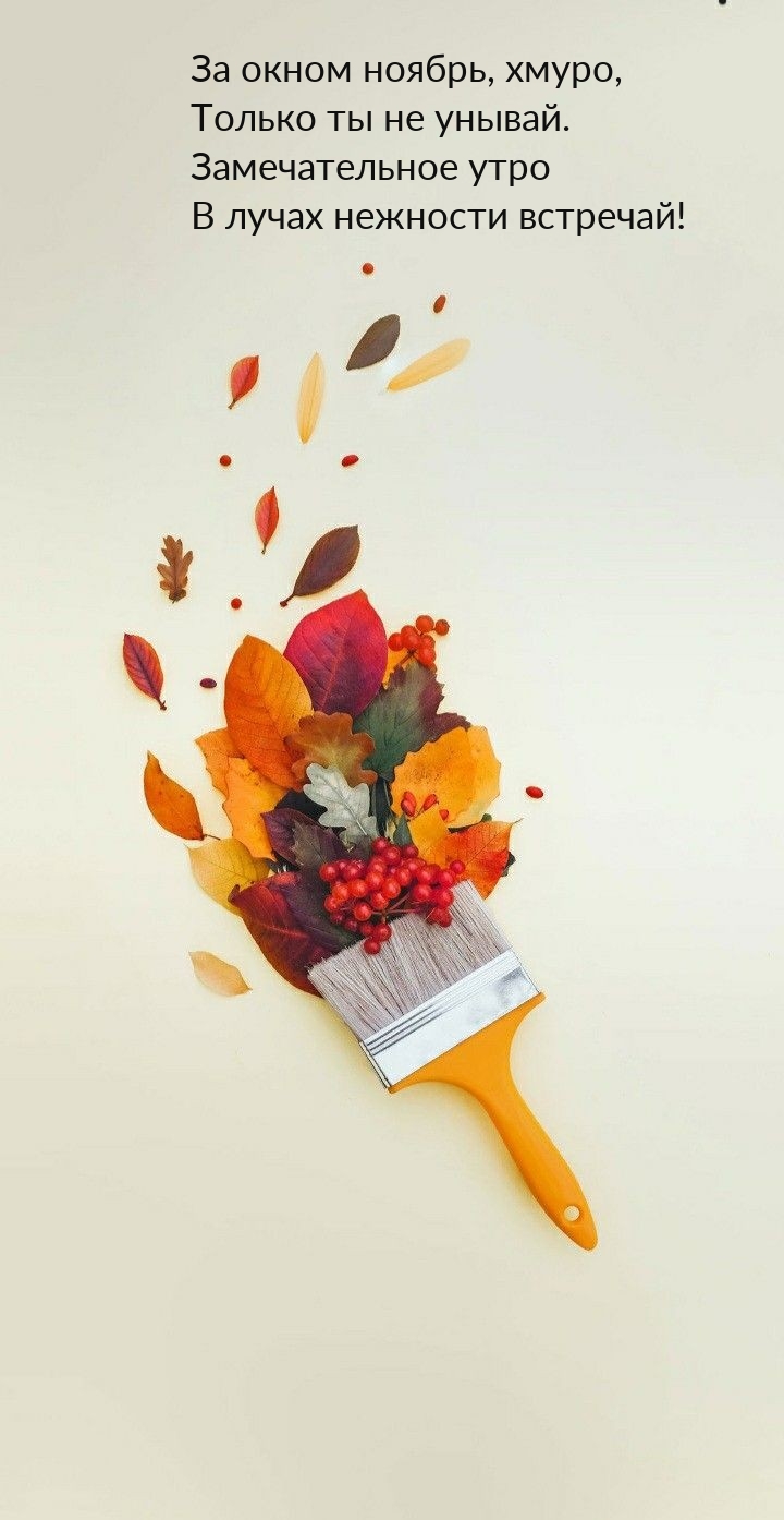 За окном ноябрь, хмуро, только ты не унывай.
