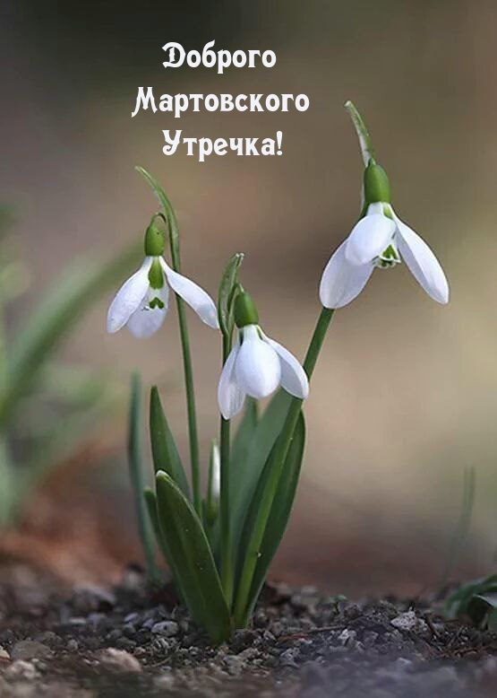 Доброго Мартовского Утречка!