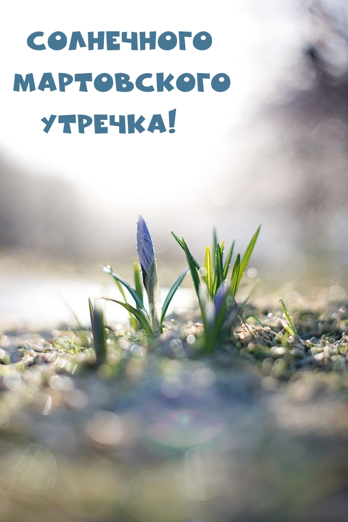 Солнечного Мартовского Утречка! 