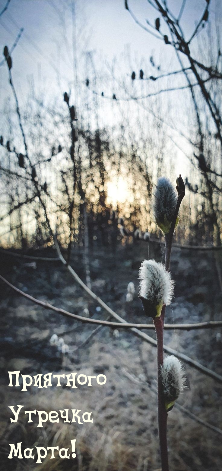 Приятного Утречка Марта!