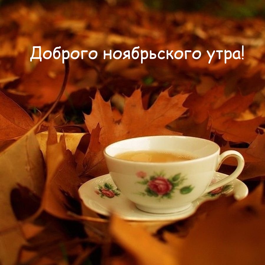 Доброго ноябрьского утра!