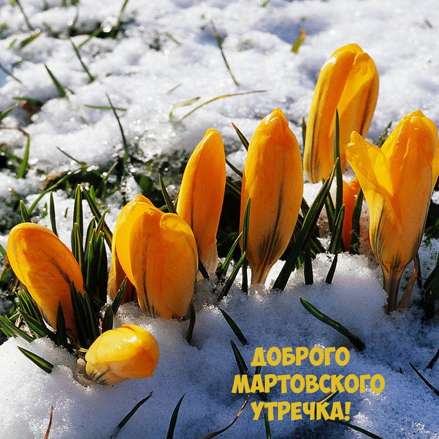 Доброго мартовского утречка!