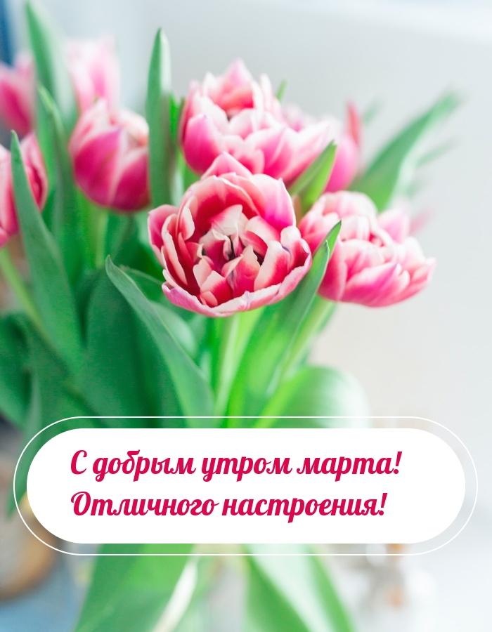 С добрым утром марта! Отличного настроения!