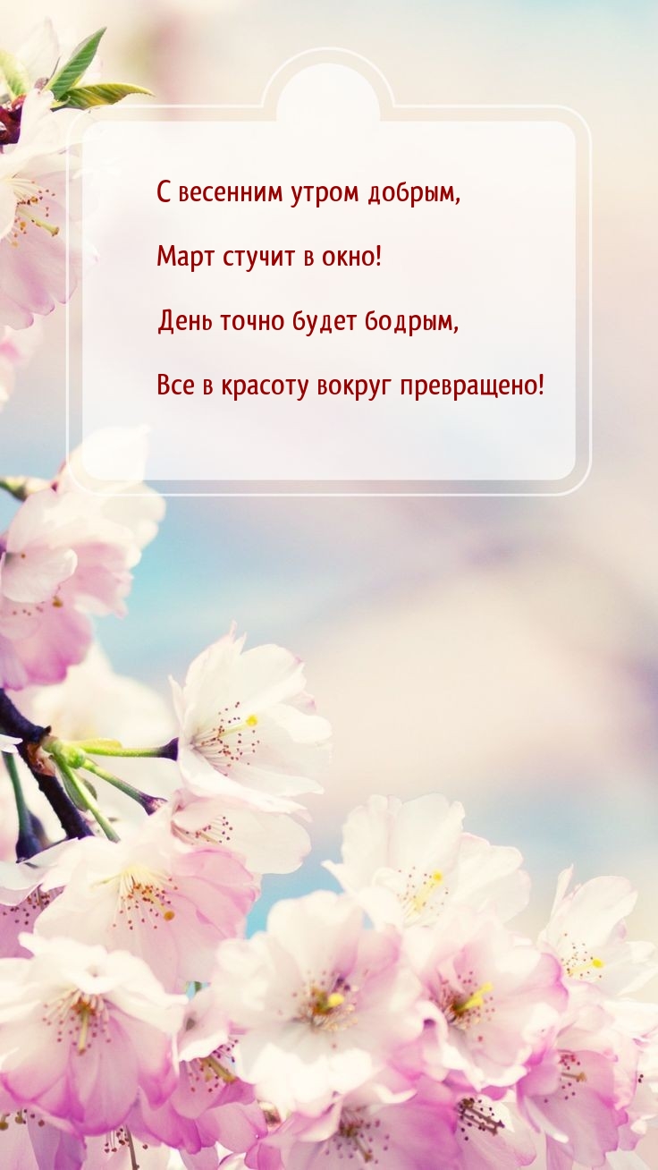 С весенним утром добрым, Март стучит в окно!