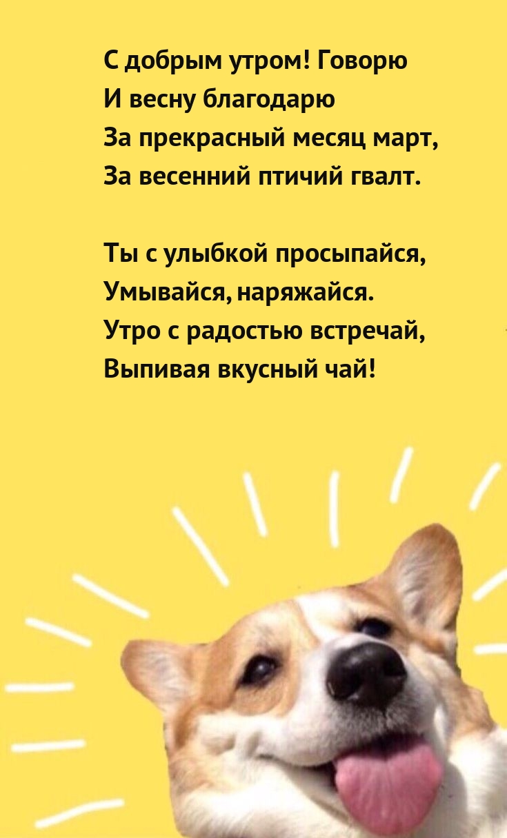 С добрым утром! Говорю и весну благодарю за прекрасный месяц март
