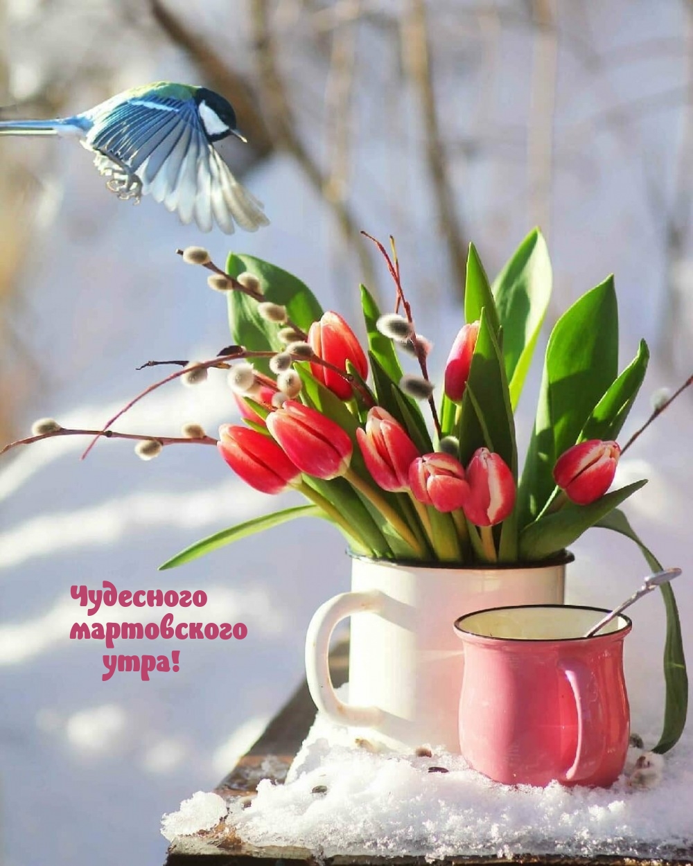Чудесного мартовского утра!