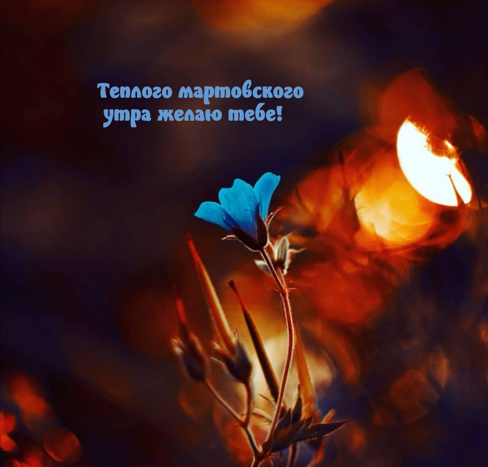 Теплого мартовского утра желаю тебе!