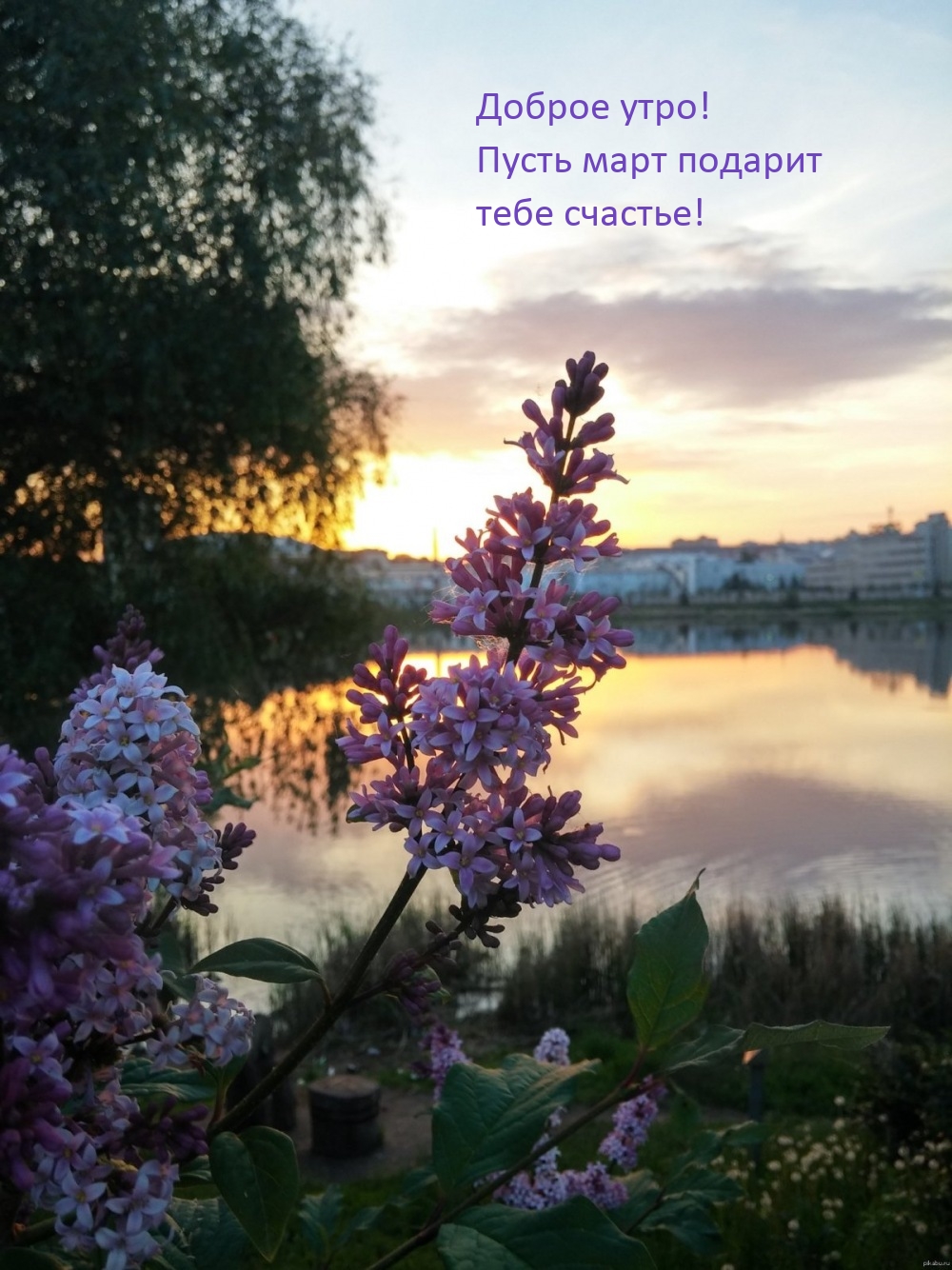 Доброе утро! Пусть март подарит тебе счастье!