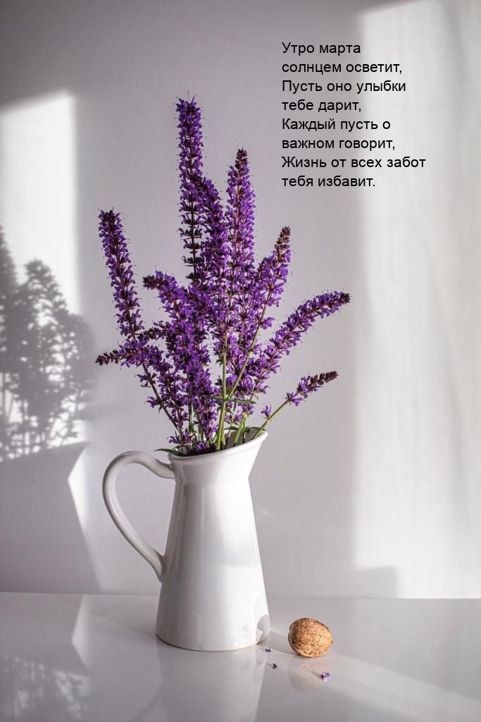 Утро марта солнцем осветит, пусть оно улыбки тебе дарит
