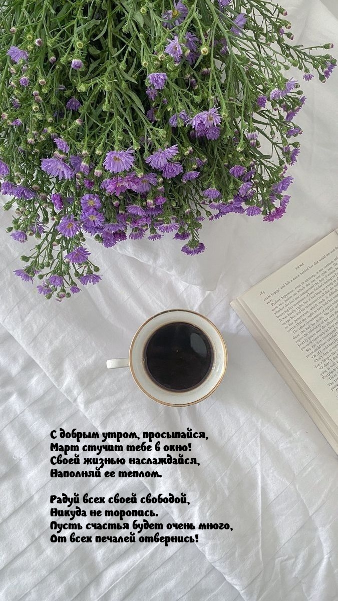 С добрым утром, просыпайся, март стучит тебе в окно!
