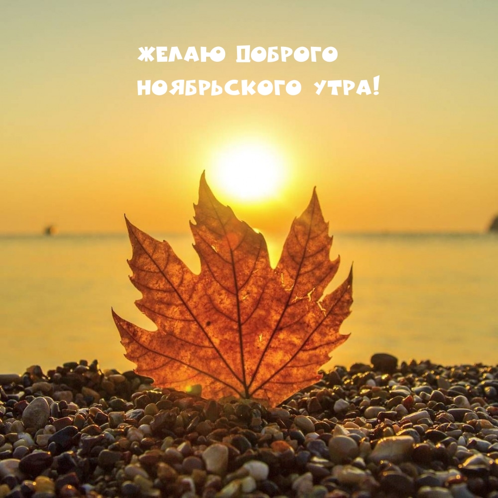 Желаю доброго ноябрьского утра!