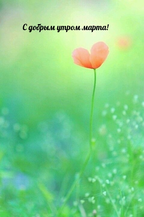 С добрым утром марта!