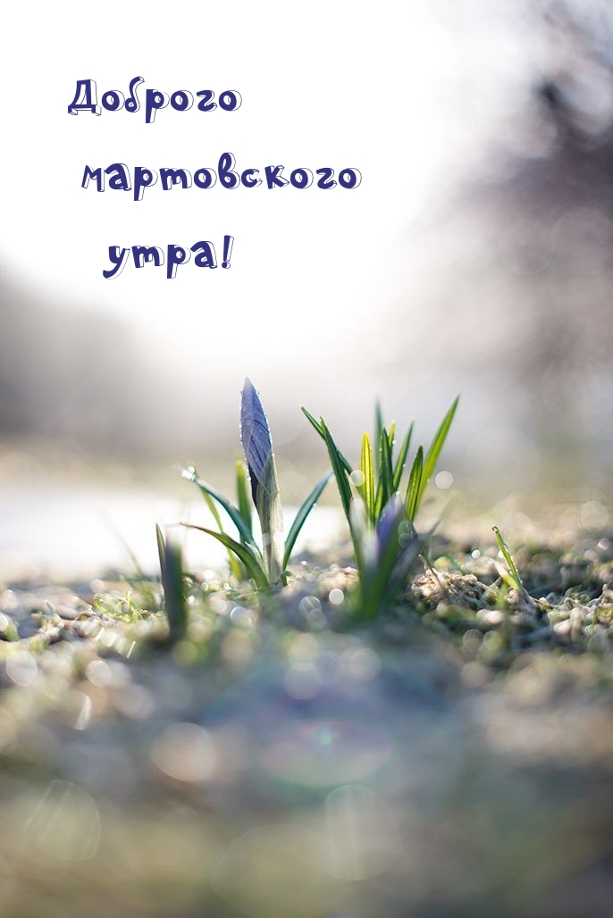 Доброго мартовского утра!